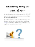 Định Hướng Tương Lai Như Thế Nào ppt