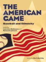 The American Game BASEBALL AND ETHNICITY potx