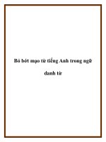 Bỏ bớt mạo từ tiếng Anh trong ngữ danh từ potx