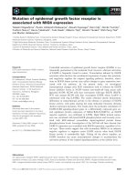 Báo cáo khoa học: Mutation of epidermal growth factor receptor is associated with MIG6 expression docx