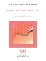 INFORMATION ECONOMY REPORT 2005 doc