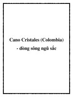 Cano Cristales (Colombia) - dòng sông ngũ sắc pptx