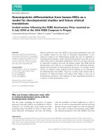 Báo cáo khoa học: Hematopoietic differentiation from human ESCs as a model for developmental studies and future clinical translations Invited review following the FEBS Anniversary Prize received on 5 July 2009 at the 34th FEBS Congress in Prague docx
