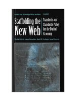 Scaffolding the New Web pdf