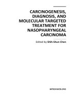 Carcinogenesis, Diagnosis, and Molecular Targeted Treatment for Nasopharyngeal Carcinoma Edited by Shih-Shun Chen pptx