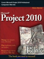 Microsoft Project 2010 Bible pot