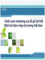 Chiến lược marketing của đồ gỗ nội thất IKEA khi thâm nhập thị trường Việt Nam  doc