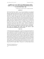 NGHIÊN CỨU TÁC NHÂN GÂY BỆNH TRẮNG ĐUÔI TRÊN CÁ TRA (PANGASIANODON HYPOPHTHALMUS) VÀ GIẢI PHÁP ĐIỀU TRỊ ppt