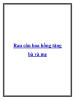 Rau câu hoa hồng tặng bà và mẹ pptx