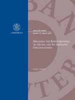 Breaking the Bonds between Al-Qa’ida and Its Affiliate Organizations ppt