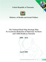 The National Road Map Strategic Plan To Accelerate Reduction of Maternal, Newborn and Child Deaths in Tanzania docx
