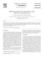 Hybrid nanocomposite of fe nanoparticles on sio2 nanowires by sublimation route