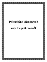 Phòng bệnh viêm đường niệu ở người cao tuổi pptx