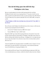 Sáu câu hỏi đáng quan tâm nhất khi chạy WebSphere trên Linux potx