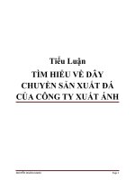 Tiểu Luận TÌM HIỂU VỀ DÂY CHUYỀN SẢN XUẤT ĐÁ CỦA CÔNG TY XUẤT ÁNH doc