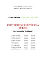 CÁC TÁC ĐỘNG CHỦ YẾU CỦA DU LỊCH docx