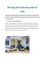 Để hàng hiên thêm lung linh sắc màu potx