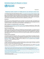 Interphone study reports on mobile phone use and brain cancer risk pot