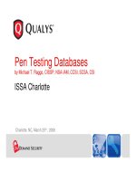 Pen Testing Databases by Michael T. Raggo, CISSP, NSA-IAM, CCSI, SCSA, CSI pdf