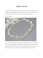 Vòng cổ và áo cưới pptx