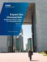 Expect the Unexpected: Building business value in a changing world pptx