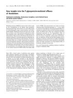 Báo cáo khoa học: New insights into the P-glycoprotein-mediated efﬂuxes of rhodamines doc