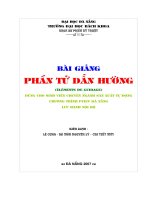 Phần tử dẫn hướng pot