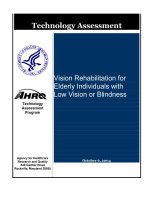 Vision Rehabilitation for Elderly Individuals with Low Vision or Blindness pot