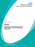 Diagnosis and initial management of acute stroke and transient ischaemic attack (TIA) ppt