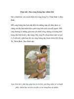 Chọn nội y theo cung hoàng đạo: nhóm Khí ppt