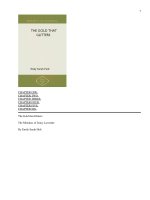 The Gold that Glitters pdf