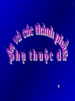 Da và các thành phần phụ thuộc da potx