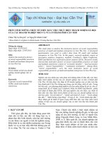 PHÂN TÍCH NHỮNG NHÂN TỐ THÚC ĐẨY VIỆC THỰC HIỆN TRÁCH NHIỆM XÃ HỘI CỦA CÁC DOANH NGHIỆP NHỎ VÀ VỪA Ở THÀNH PHỐ CẦN THƠ pot