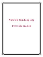 Nuôi tôm hùm bằng lồng treo: Hiệu quả kép pot