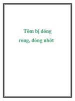 Tôm bị đóng rong, đóng nhớt docx