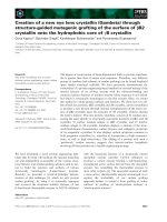 Báo cáo khoa học: Creation of a new eye lens crystallin (Gambeta) through structure-guided mutagenic grafting of the surface of bB2 crystallin onto the hydrophobic core of cB crystallin pot