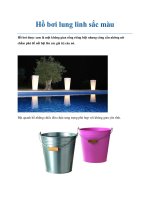 Hồ bơi lung linh sắc màu pot