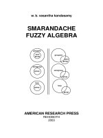 volume 9 fuzzy algebra