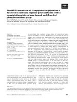 Báo cáo khoa học: The HS:19 serostrain of Campylobacter jejuni has a hyaluronic acid-type capsular polysaccharide with a nonstoichiometric sorbose branch and O-methyl phosphoramidate group docx