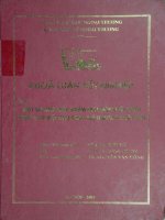 Một số giải pháp nhằm thúc đẩy xuất khẩu hàng hóa Việt Nam sang thị trường Nhật Bản