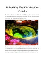 Vẻ Đẹp Dòng Sông Cầu Vồng Cano Cristales docx