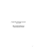 Virginia Title V 2011 Needs Assessment July 15, 2010 Office of Family Health Services Virginia Department of Health pptx