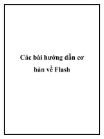 Các bài hướng dẫn cơ bản về Flash docx