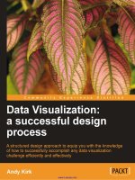 Data Visualization: a successful design process doc