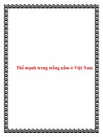 Thế mạnh trong trồng nấm ở Việt Nam docx