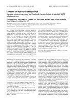 Báo cáo khoa học: Sulfation of hydroxychlorobiphenyls Molecular cloning, expression, and functional characterization of zebraﬁsh SULT1 sulfotransferases docx