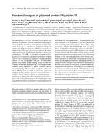 Báo cáo khóa học: Functional analyses of placental protein 13/galectin-13 pdf