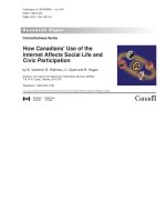 How Canadians'''' Use of the Internet Affects Social Life and Civic Participation pdf