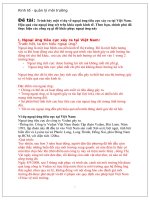 Ngoại ứng tiêu cực của công ty Vedan - tác động của nó với môi trường cũng như ảnh hưởng của nó tới kinh tế và giải pháp khắc phục.