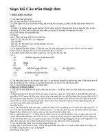 Soạn bài Câu trần thuật đơn